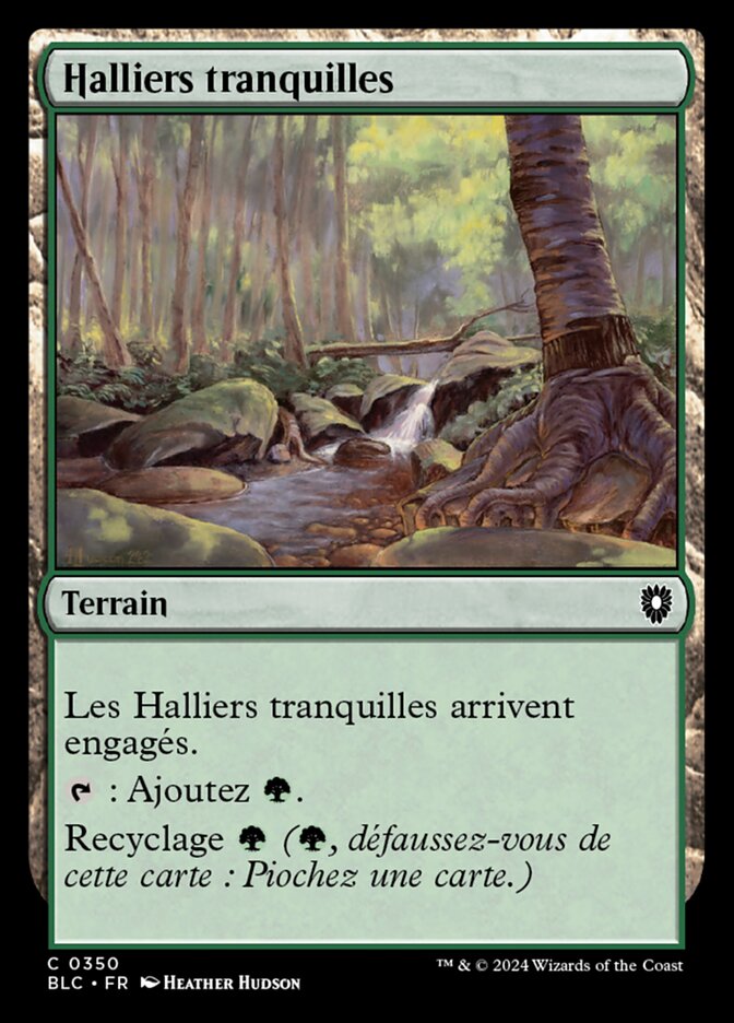 image Halliers tranquilles