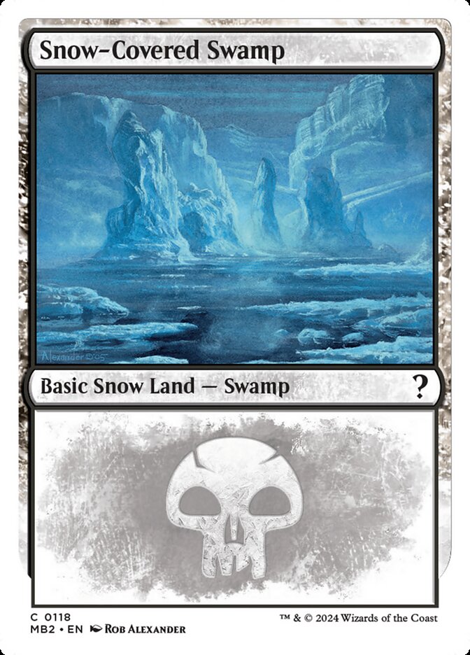 image Snow-Covered Swamp