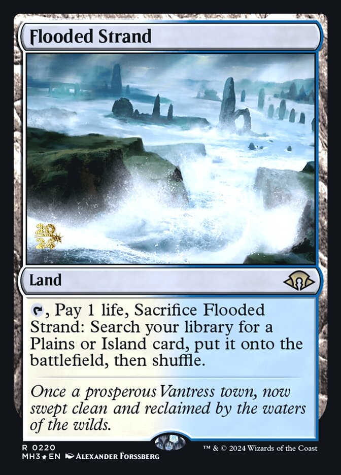 image Flooded Strand