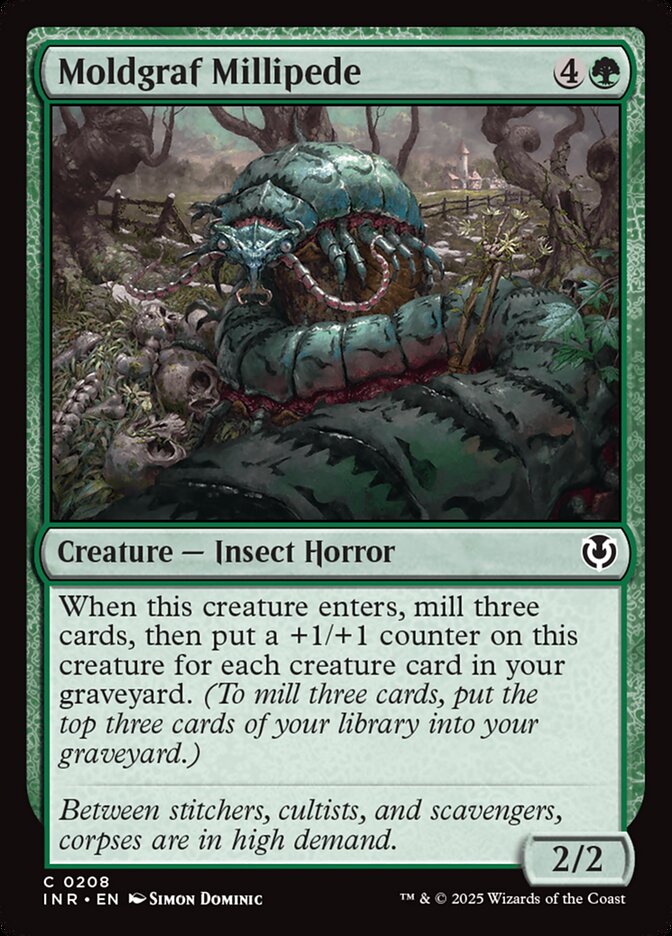 image Moldgraf Millipede