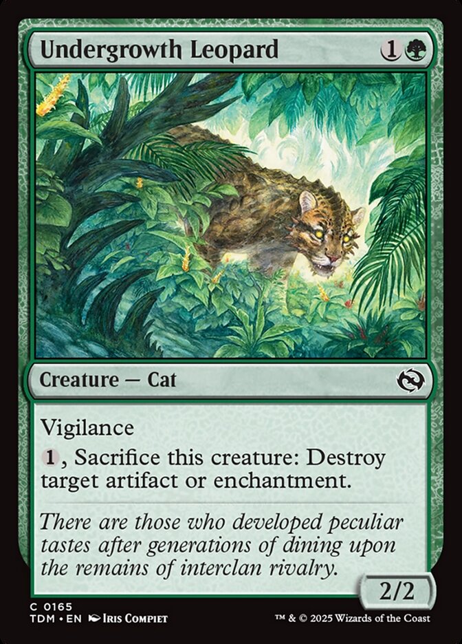 image Undergrowth Leopard