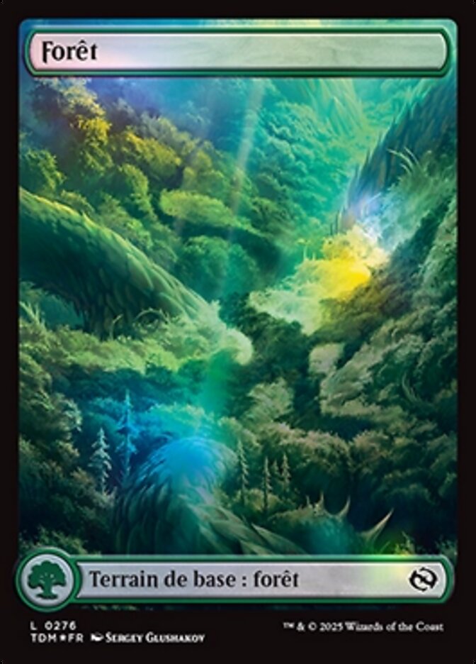 image Forêt