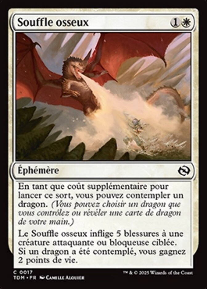 image Souffle osseux