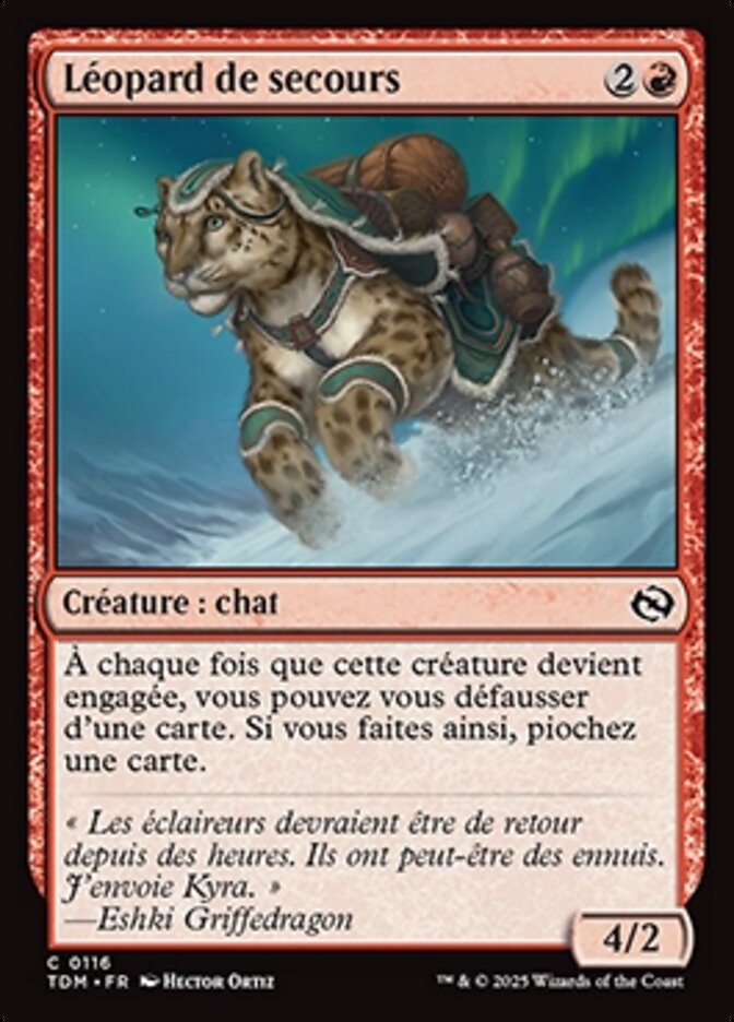 image Léopard de secours