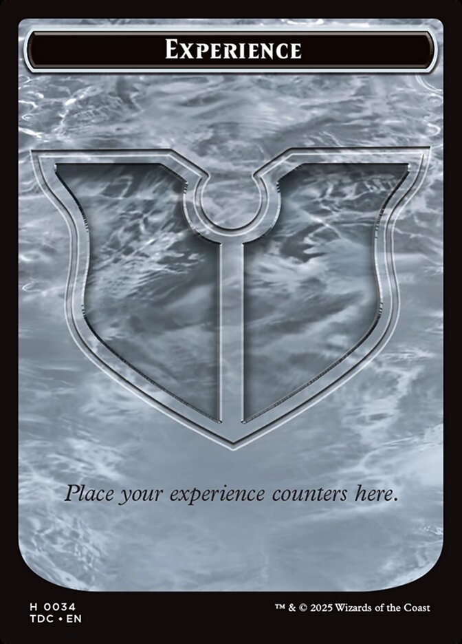 image Experience