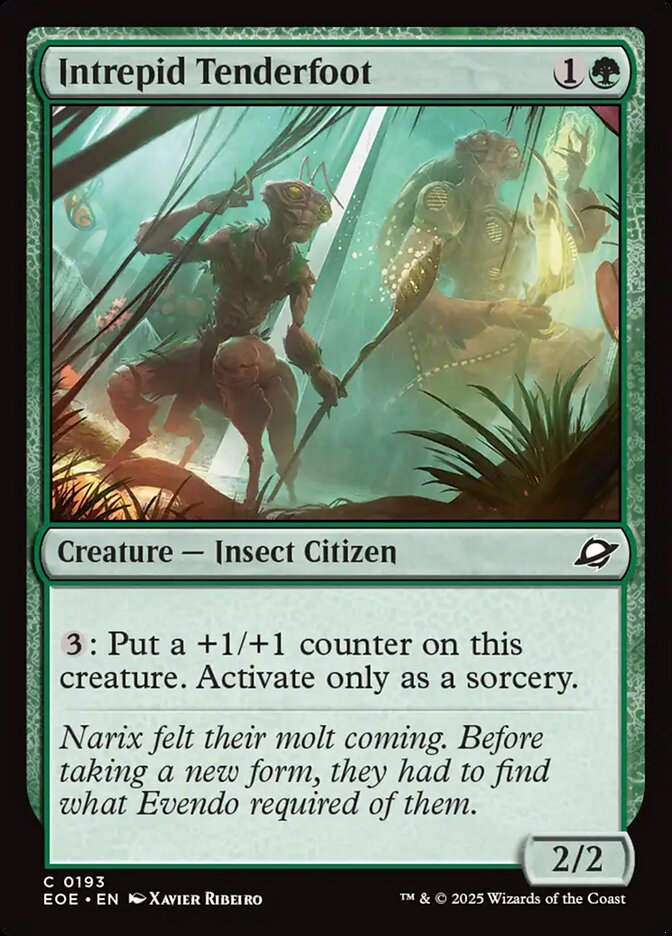 image Intrepid Tenderfoot