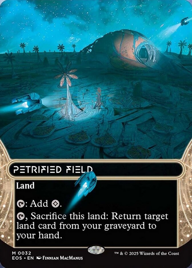 image Petrified Field