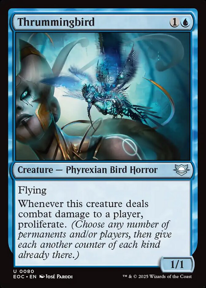 image Thrummingbird