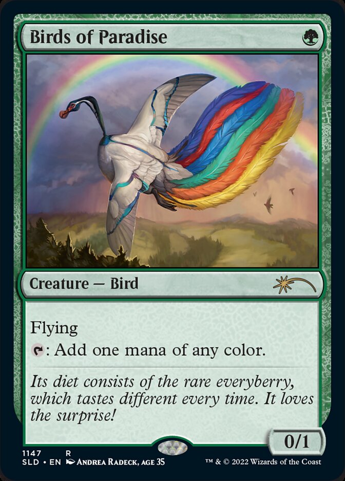 image Birds of Paradise